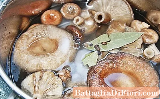 Come salare i funghi di latte secchi