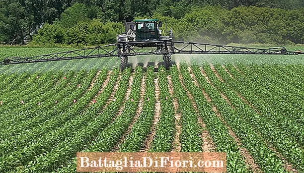Quali tre invenzioni hanno notevolmente migliorato l'agricoltura?