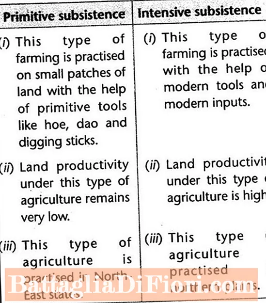 Qual è l'altro nome dell'agricoltura di sussistenza primitiva?