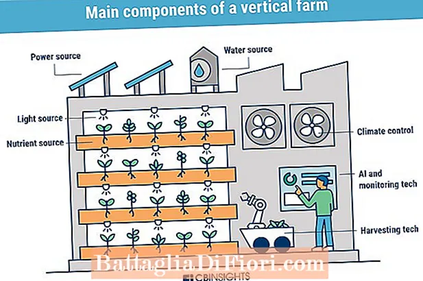 Quale tecnologia utilizza l'agricoltura verticale?