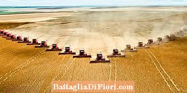 A che ora agricoltura oggi?