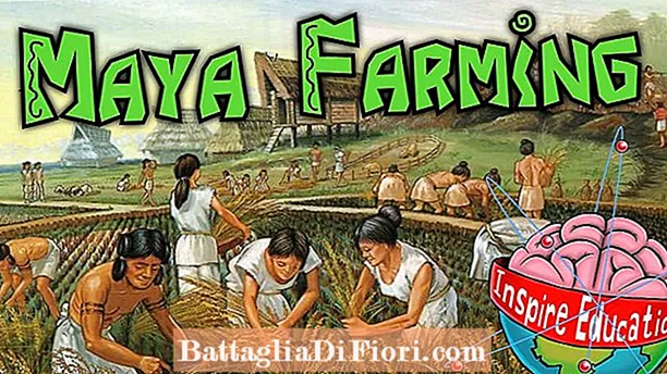 Cosa facevano i Maya dell'agricoltura?