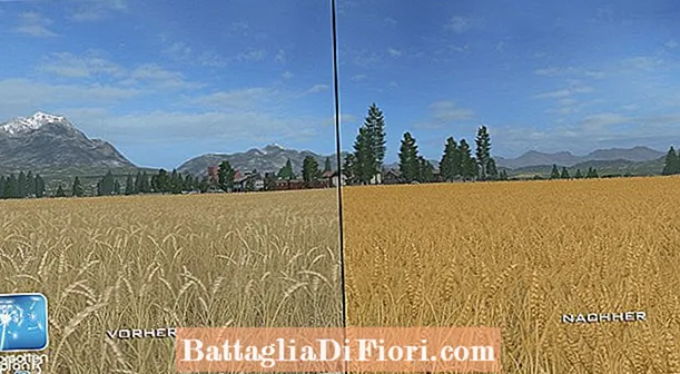 Dove posso scaricare l'orzo nel simulatore agricolo 2017?