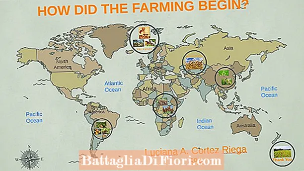Dove è iniziata l'agricoltura?